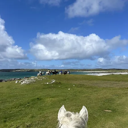 Calla Retreat Roundstone